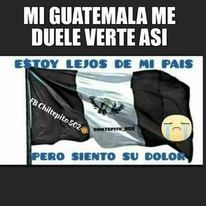 Meet your Posher, Verónica